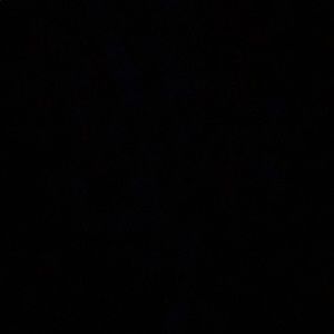 Meet your Posher, Benny